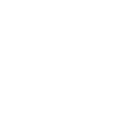 Logo ws